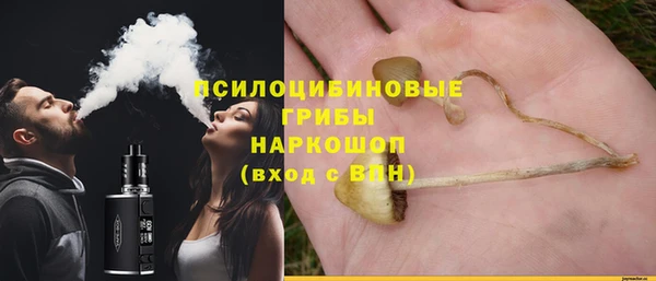 круглые Няндома